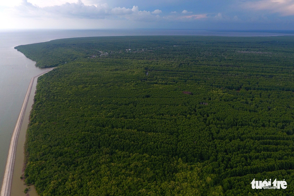Ngắm khu dự trữ sinh quyển thế giới Mũi Cà Mau từ trên cao - Ảnh 3.