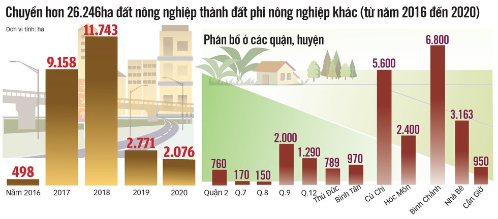 Đất nông nghiệp ở Bình Chánh, Củ Chi sẽ được chuyển đổi nhiều nhất - Ảnh 3. Đất nông nghiệp ở Bình Chánh, Củ Chi sẽ được chuyển đổi nhiều nhất - Ảnh 3.
