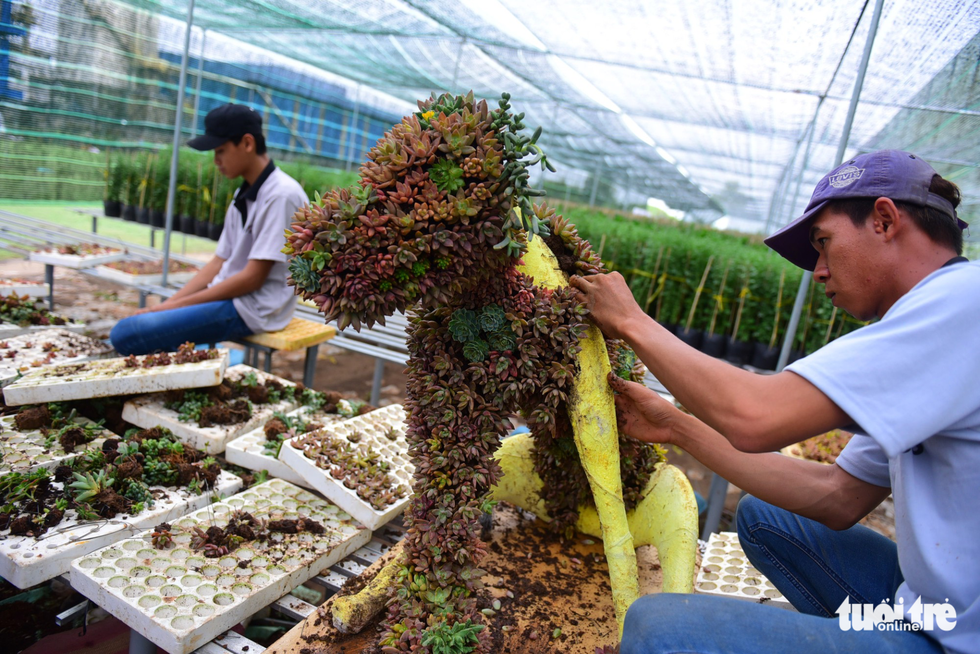 Xem hoa, chó Phú Quốc trước ngày lên đường hoa Nguyễn Huệ - Ảnh 7. Xem hoa, chó Phú Quốc trước ngày lên đường hoa Nguyễn Huệ - Ảnh 7.