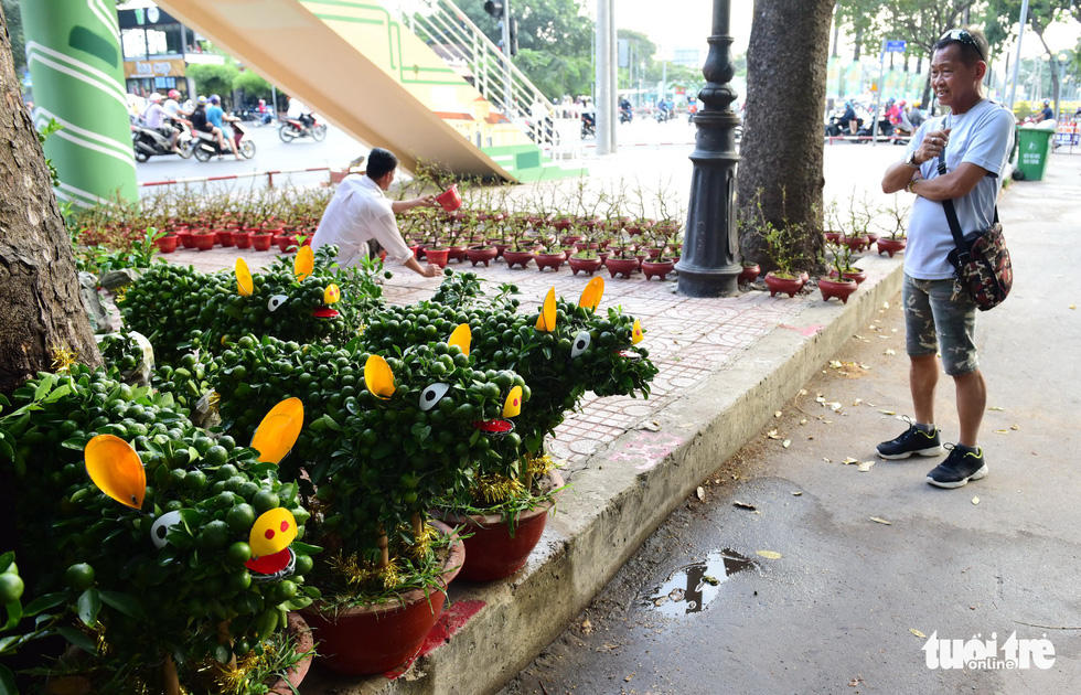 TP.Sài Gòn những ngày trên bến - dưới thuyền - công viên ngập hoa, kiểng Logo-dphoatet-9-1548592337813471929148