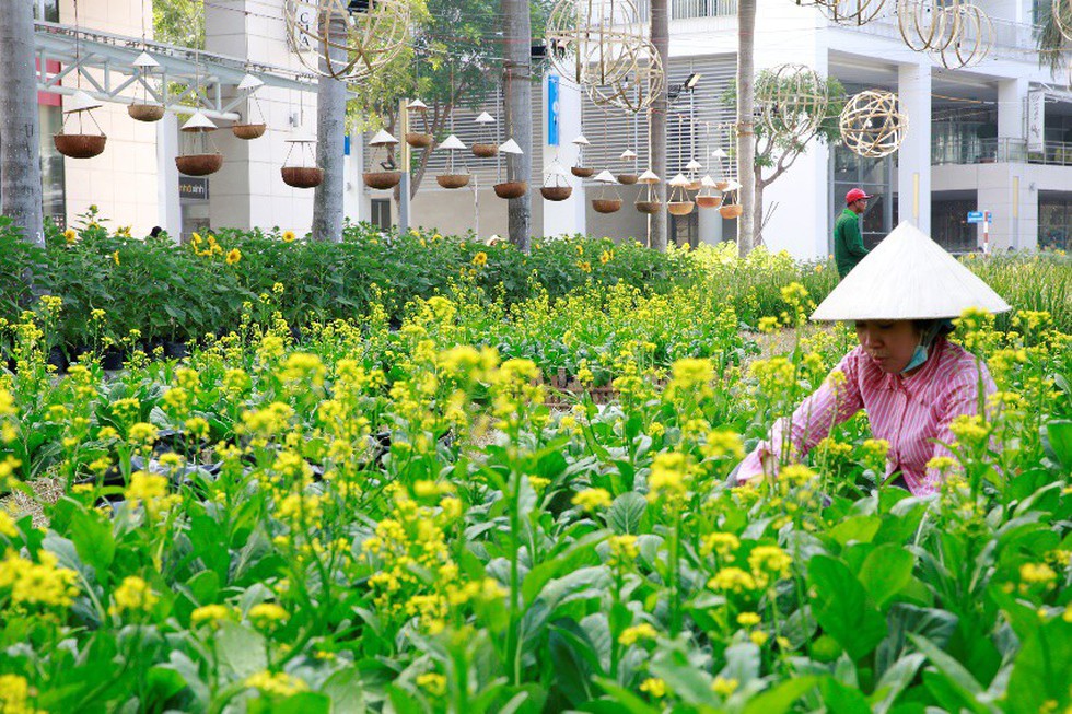Háo hức khai mạc Hội chợ hoa xuân Phú Mỹ Hưng - Ảnh 2. Háo hức khai mạc Hội chợ hoa xuân Phú Mỹ Hưng - Ảnh 2.