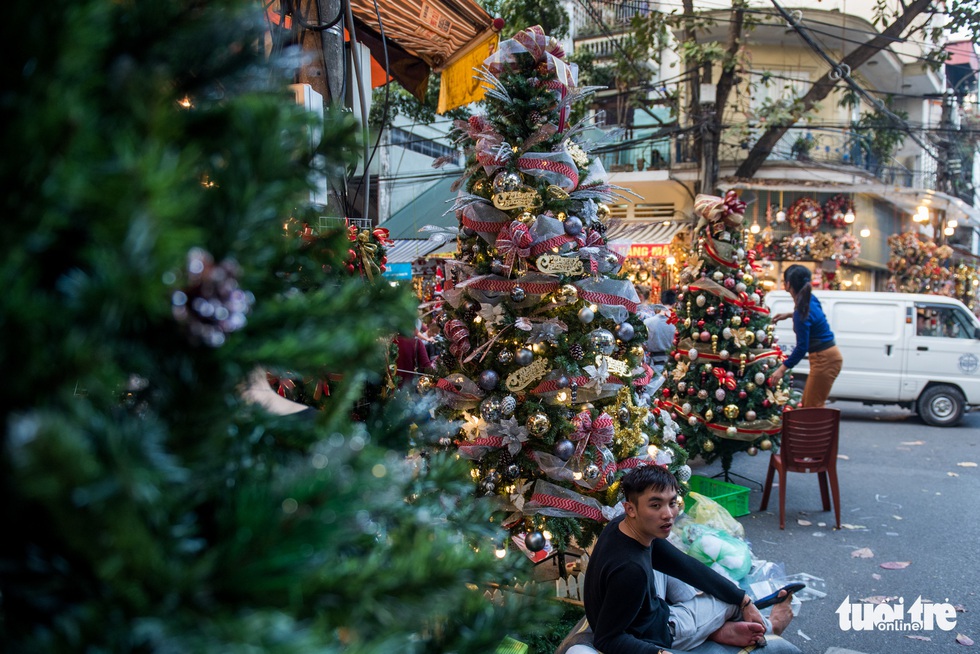 Chơi tới mùa Noel: thông 18-30 triệu vẫn hút khách - Ảnh 3. Chơi tới mùa Noel: thông 18-30 triệu vẫn hút khách - Ảnh 3.