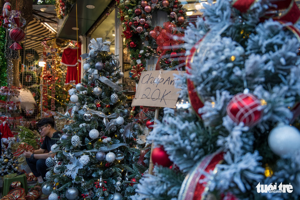 Chơi tới mùa Noel: thông 18-30 triệu vẫn hút khách - Ảnh 10. Chơi tới mùa Noel: thông 18-30 triệu vẫn hút khách - Ảnh 10.