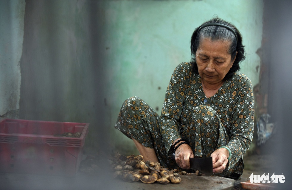 Cây bàng đi qua thăng trầm cùng người dân Côn Đảo - Ảnh 10. Cây bàng đi qua thăng trầm cùng người dân Côn Đảo - Ảnh 10.