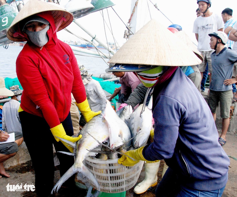 Đầu năm ngư dân miền Trung đón lộc biển - Ảnh 7. Đầu năm ngư dân miền Trung đón lộc biển - Ảnh 7.