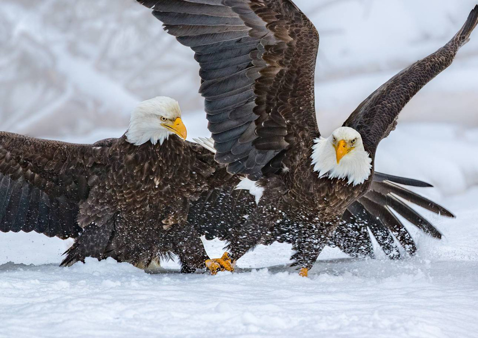 15 ảnh du lịch ấn tượng của National Geographic - Ảnh 2. 15 ảnh du lịch ấn tượng của National Geographic - Ảnh 2.