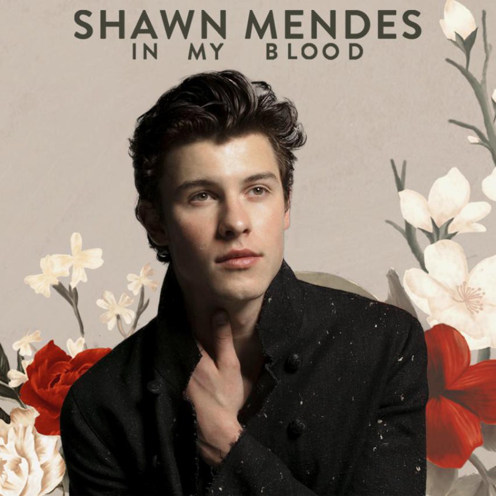 Hồi hộp đợi chủ nhân Bài hát của năm ở Grammy 2019 - Ảnh 11. Hồi hộp đợi chủ nhân Bài hát của năm ở Grammy 2019 - Ảnh 11.