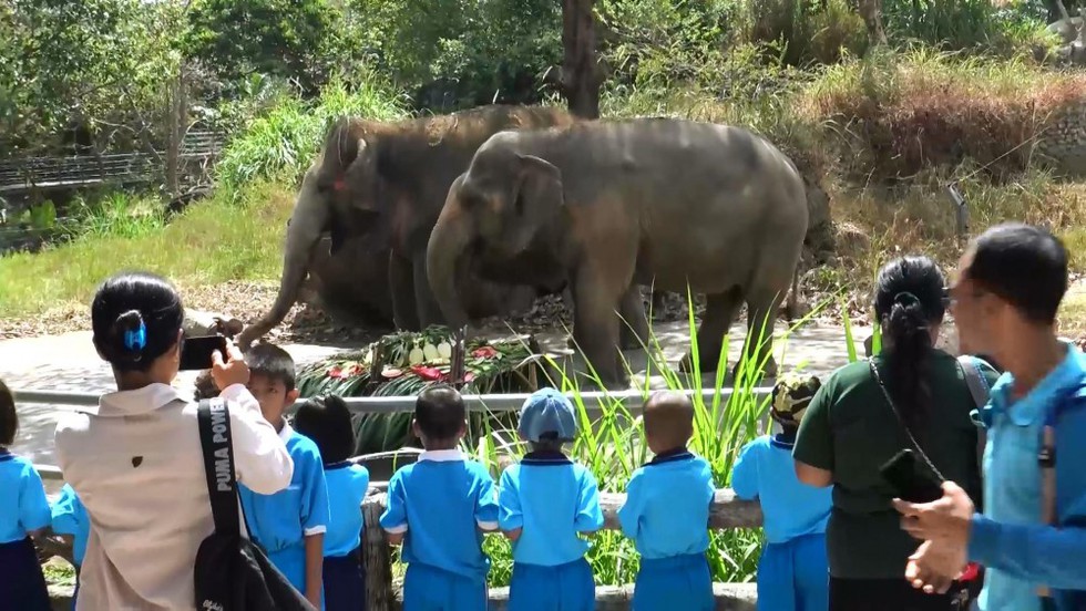 Ngày voi quốc gia Thái Lan: tắm, chơi và ăn rau quả - Ảnh 19. Ngày voi quốc gia Thái Lan: tắm, chơi và ăn rau quả - Ảnh 19.