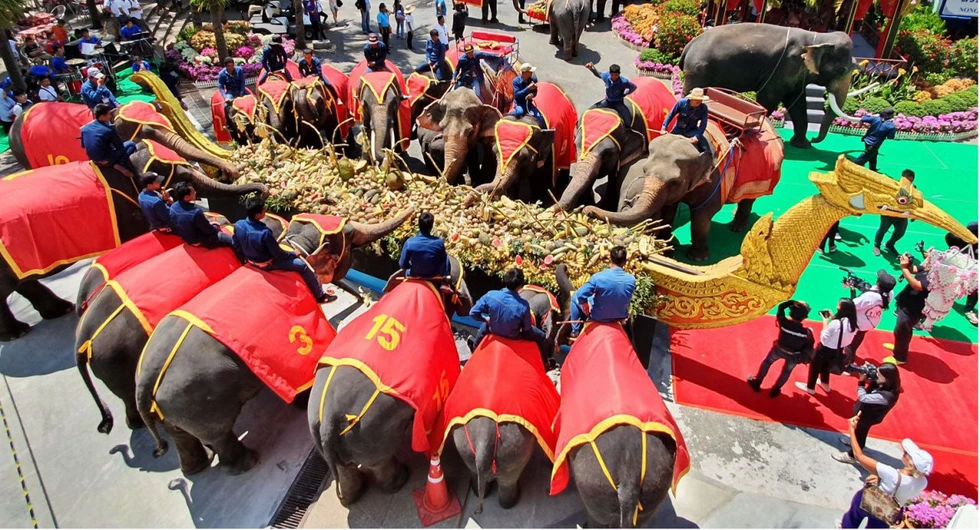 Ngày voi quốc gia Thái Lan: tắm, chơi và ăn rau quả - Ảnh 1. Ngày voi quốc gia Thái Lan: tắm, chơi và ăn rau quả - Ảnh 1.