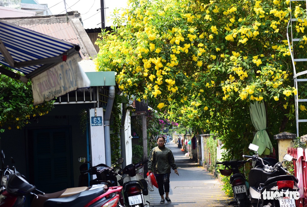 Hoa huỳnh liên rợp bóng đường ray xe lửa chiều Sài Gòn - Ảnh 3. Hoa huỳnh liên rợp bóng đường ray xe lửa chiều Sài Gòn - Ảnh 3.