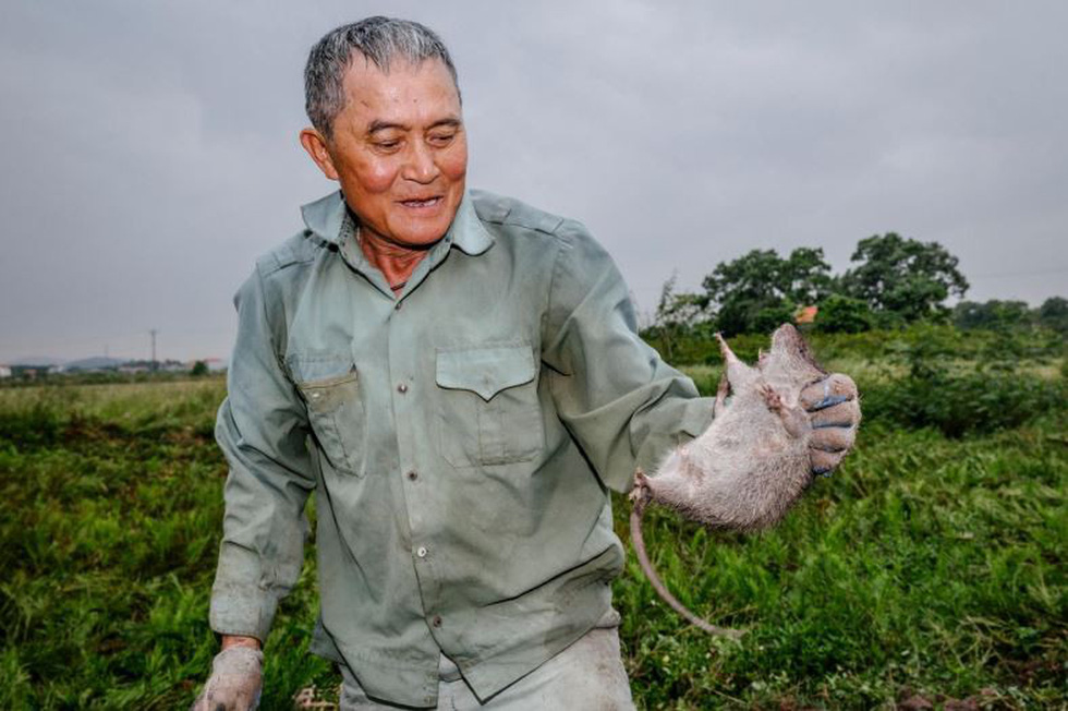 Đặc sản thịt chuột của Việt Nam lên tạp chí National Geographic - Ảnh 3.