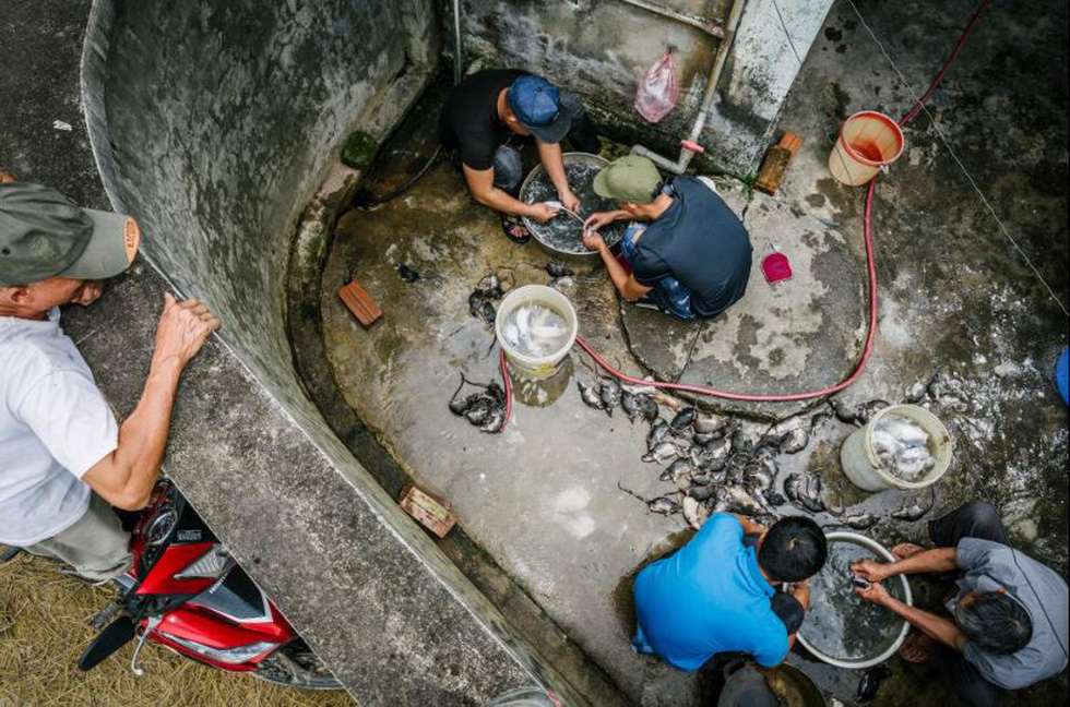 Đặc sản thịt chuột của Việt Nam lên tạp chí National Geographic - Ảnh 5. Đặc sản thịt chuột của Việt Nam lên tạp chí National Geographic - Ảnh 5.