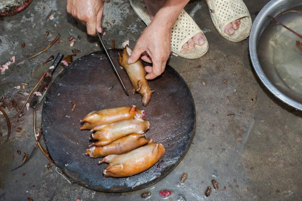 Đặc sản thịt chuột của Việt Nam lên tạp chí National Geographic - Ảnh 8.