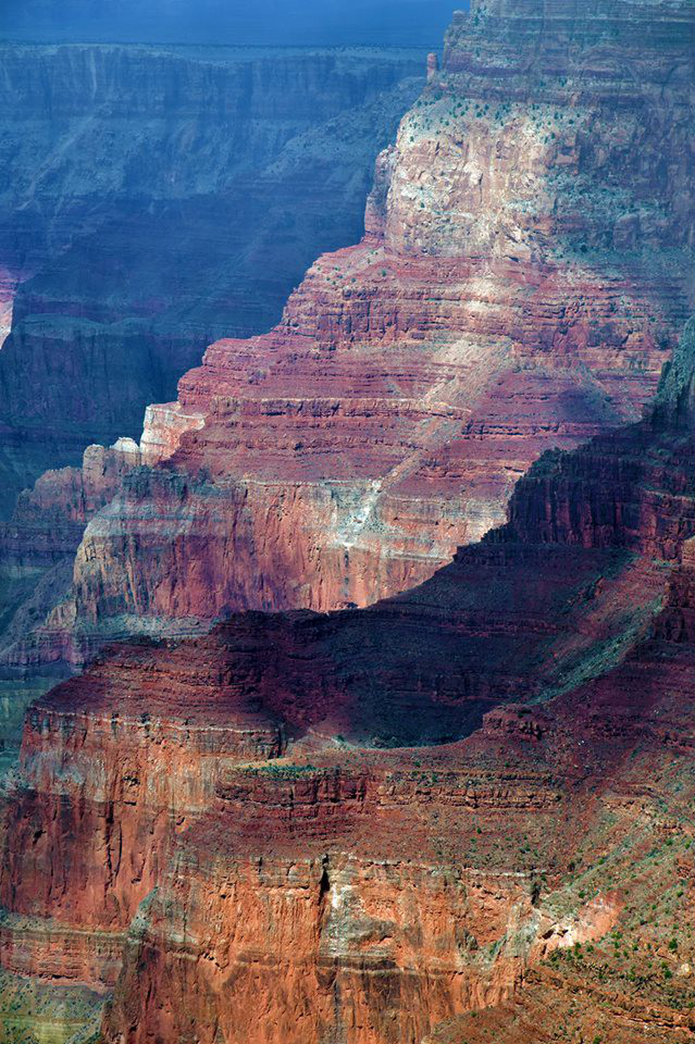 Kỳ quan Grand Canyon tráng lệ mùa tuyết rơi - Ảnh 9.