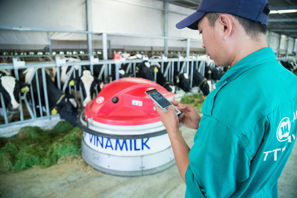 Bên trong trang trại bò sữa chuẩn resort tại Tây Ninh - Ảnh 9.