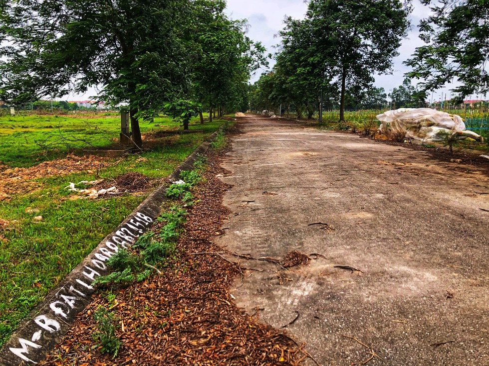 Xót xa đại đô thị ngàn tỉ để... thả bò - Ảnh 2. Xót xa đại đô thị ngàn tỉ để... thả bò - Ảnh 2.