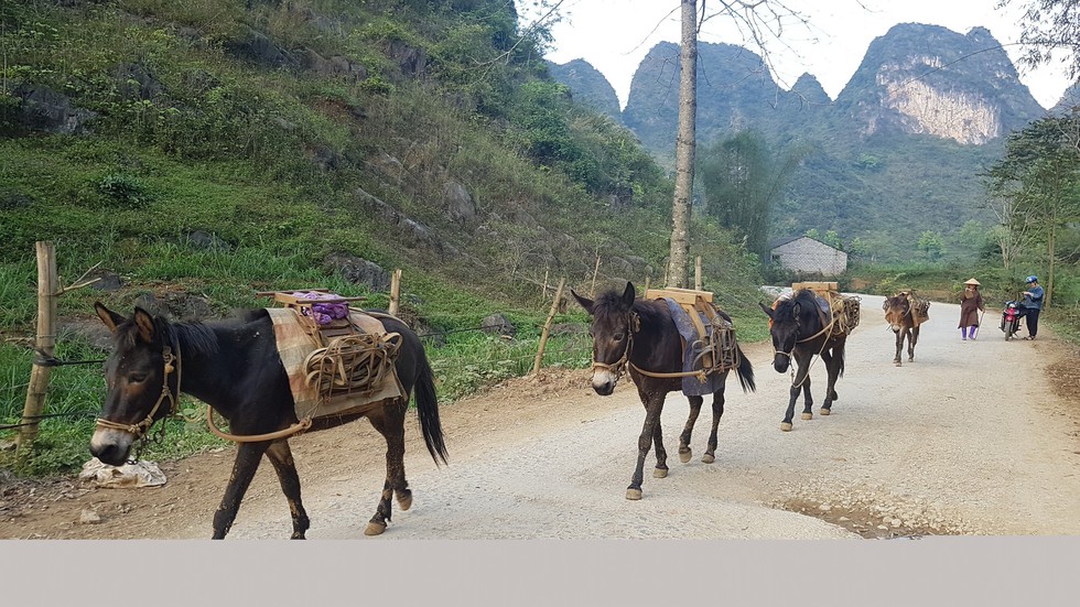Bầy la cửu vạn ở biên viễn - Ảnh 2. Bầy la cửu vạn ở biên viễn - Ảnh 2.