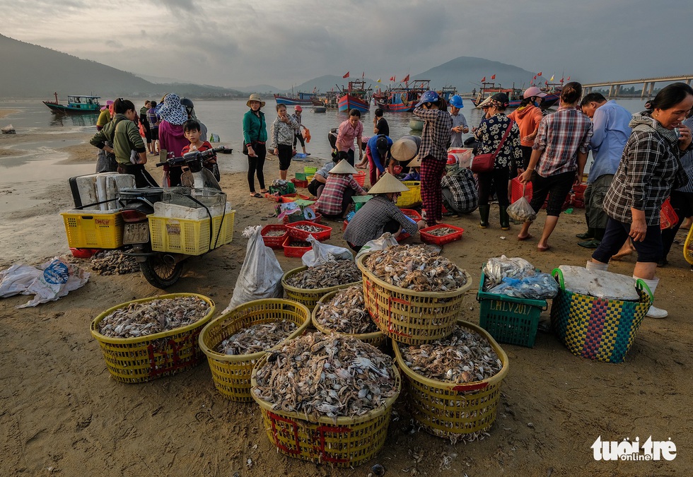 Chợ cá họp trước bình minh nơi làng chài Cửa Nhượng - Ảnh 6. Chợ cá họp trước bình minh nơi làng chài Cửa Nhượng - Ảnh 6.