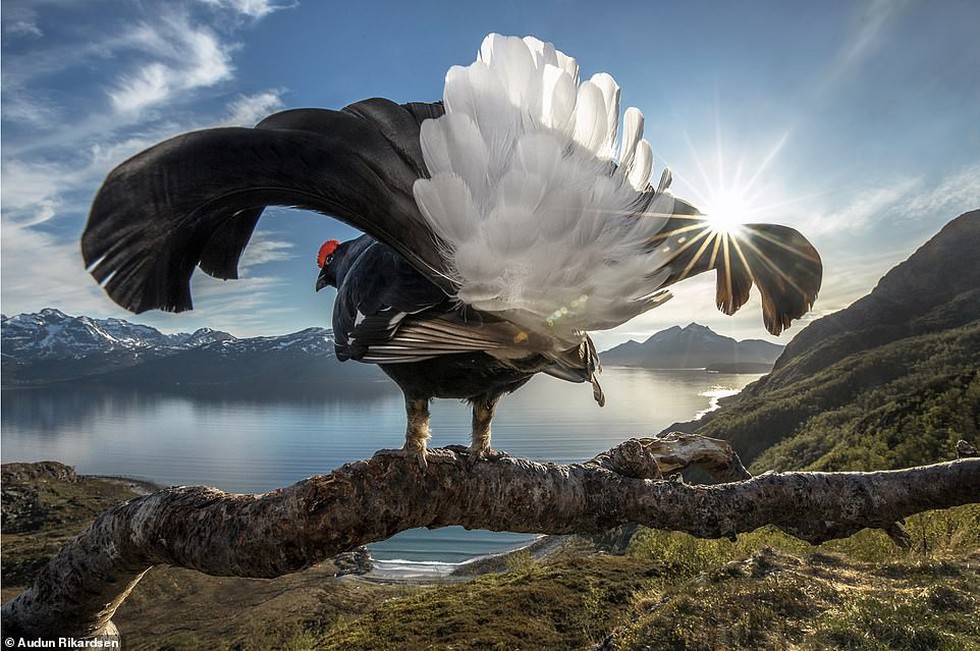 Ảnh thiên nhiên tuyệt đẹp từ Natural World Photography - Ảnh 2. Ảnh thiên nhiên tuyệt đẹp từ Natural World Photography - Ảnh 2.