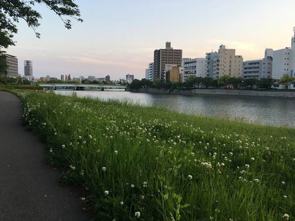 Đến Hiroshima, nơi ngân nga điệu hòa bình - Ảnh 1. Đến Hiroshima, nơi ngân nga điệu hòa bình - Ảnh 1.