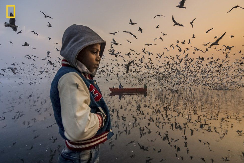 Tuyết trắng Greenland thắng giải Ảnh du lịch 2019 của NatGeo - Ảnh 7. Tuyết trắng Greenland thắng giải Ảnh du lịch 2019 của NatGeo - Ảnh 7.