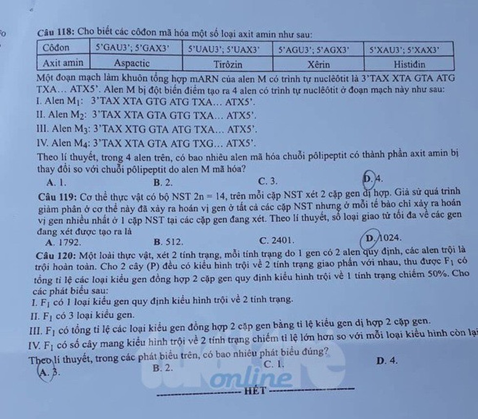 Đáp án môn sinh thi THPT quốc gia 2019 - Ảnh 8. Đáp án môn sinh thi THPT quốc gia 2019 - Ảnh 8.