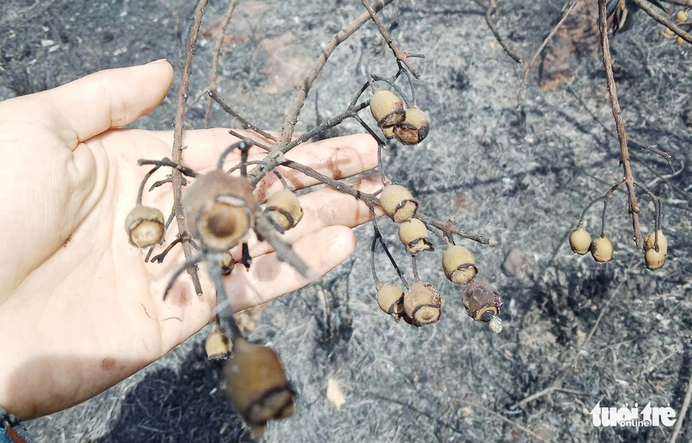 Quân dân căng mình ngày đêm chữa cháy cứu rừng - Ảnh 12. Quân dân căng mình ngày đêm chữa cháy cứu rừng - Ảnh 12.