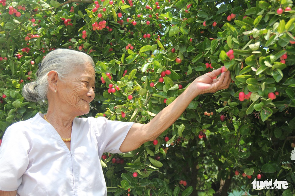 Con đường siro Gò Công đỏ mọng đến không chịu nổi - Ảnh 9. Con đường siro Gò Công đỏ mọng đến không chịu nổi - Ảnh 9.