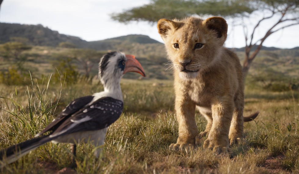 The Lion King và hành trình rực rỡ, bi tráng lôi cuốn khán giả - Ảnh 6. The Lion King và hành trình rực rỡ, bi tráng lôi cuốn khán giả - Ảnh 6.