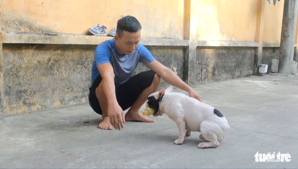 Vựa ve chai của chú chó đáng yêu tại Hà Nội - Ảnh 5. Vựa ve chai của chú chó đáng yêu tại Hà Nội - Ảnh 5.