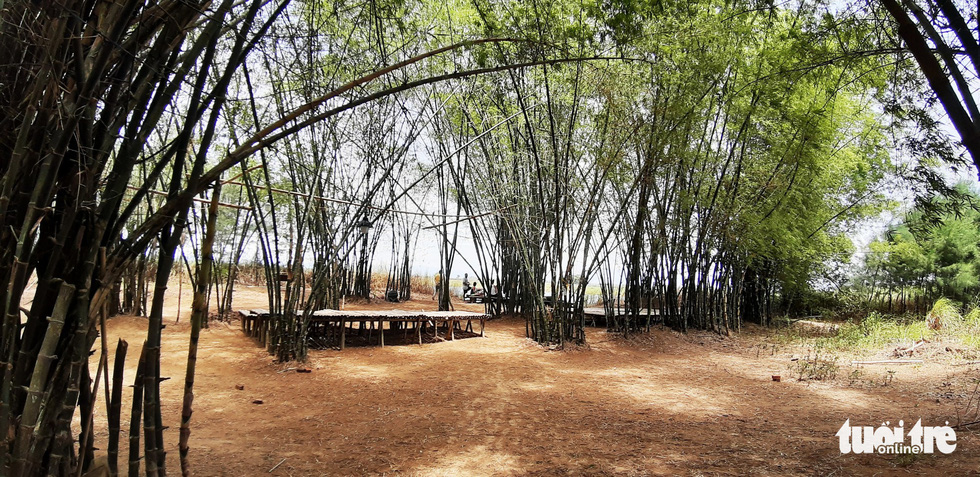 Làng tre Triêm Tây mát rượi bên sông, cách Hội An chỉ 2km - Ảnh 1. Làng tre Triêm Tây mát rượi bên sông, cách Hội An chỉ 2km - Ảnh 1.