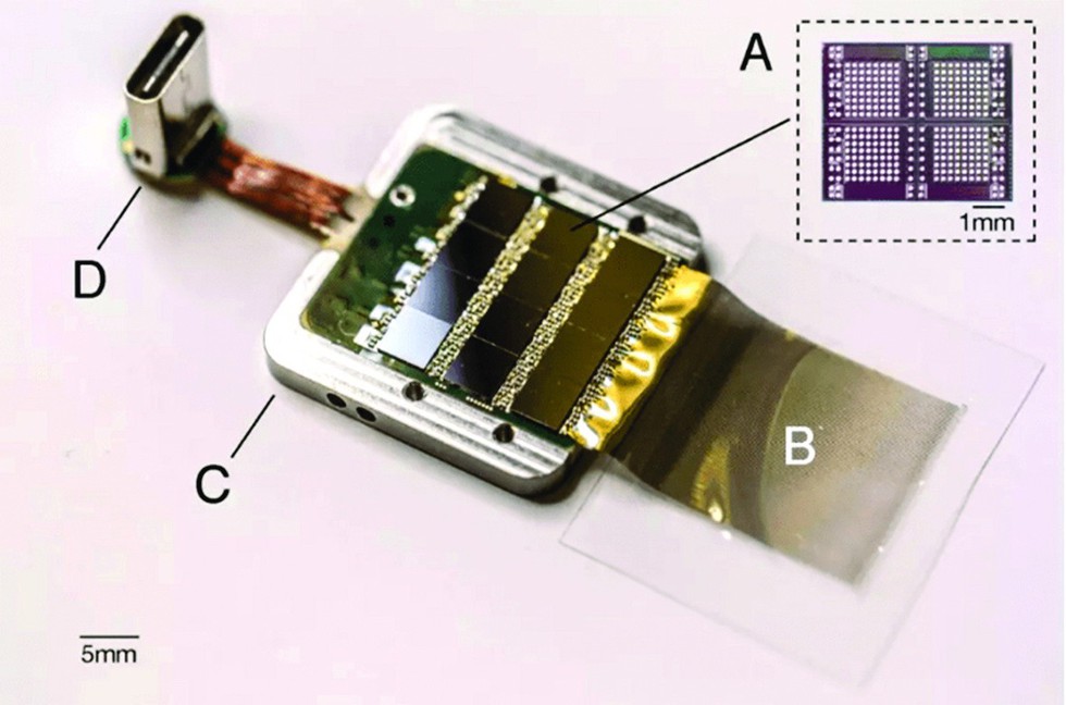 Bộ não gắn chip sẽ thành hiện thực năm 2020? - Ảnh 2. Bộ não gắn chip sẽ thành hiện thực năm 2020? - Ảnh 2.