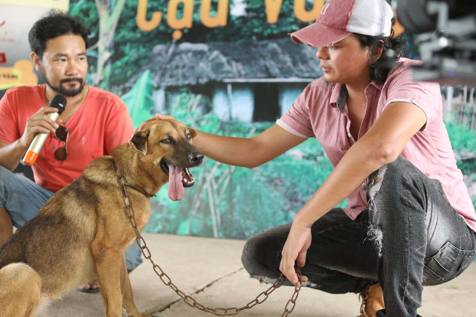 Cậu Vàng của Lão Hạc phải là chó ta, Shiba Inu là chó Nhật Bản! - Ảnh 3. Cậu Vàng của Lão Hạc phải là chó ta, Shiba Inu là chó Nhật Bản! - Ảnh 3.