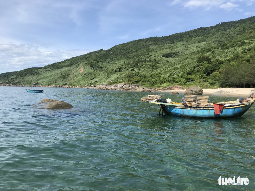 Pisces wild, paradise at the mouth of Danang bay - Photo 7.