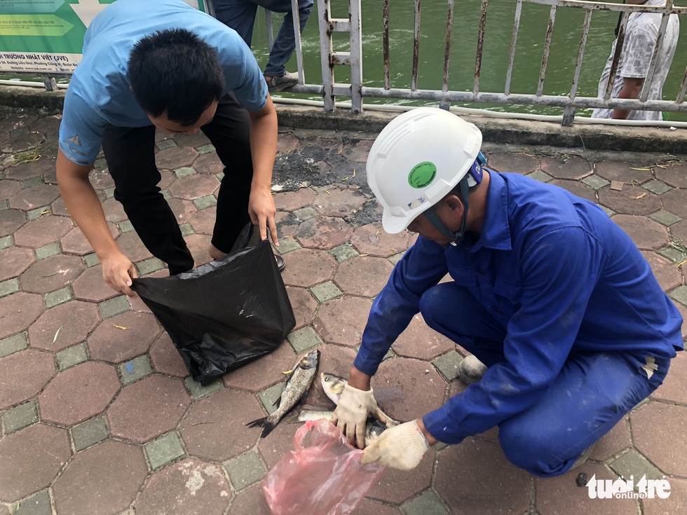 Sau mưa lớn, người dân đổ ra sông Tô Lịch câu cá - Ảnh 3. Sau mưa lớn, người dân đổ ra sông Tô Lịch câu cá - Ảnh 3.