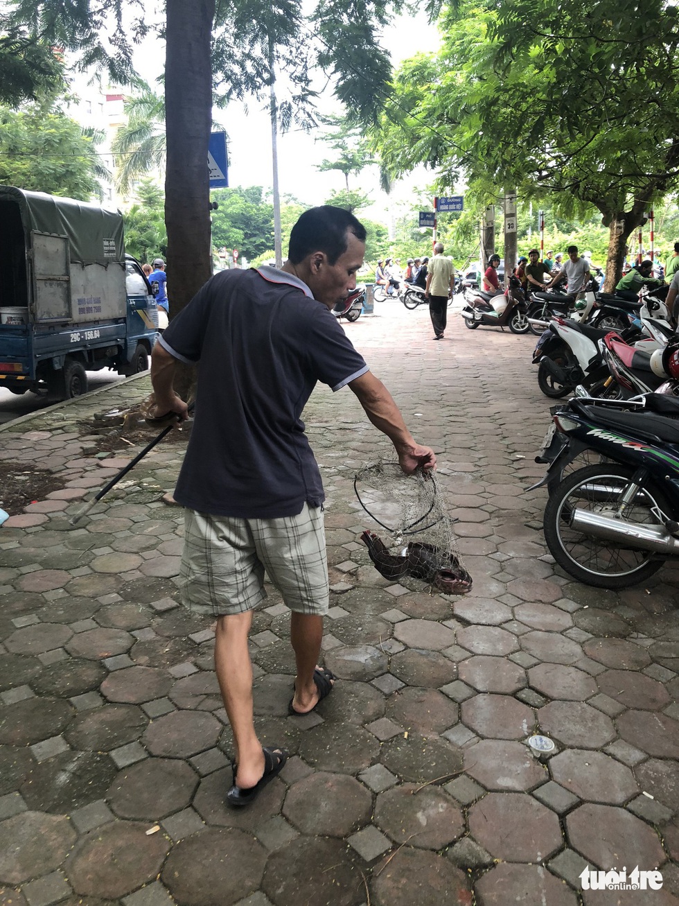 Sau mưa lớn, người dân đổ ra sông Tô Lịch câu cá - Ảnh 8. Sau mưa lớn, người dân đổ ra sông Tô Lịch câu cá - Ảnh 8.