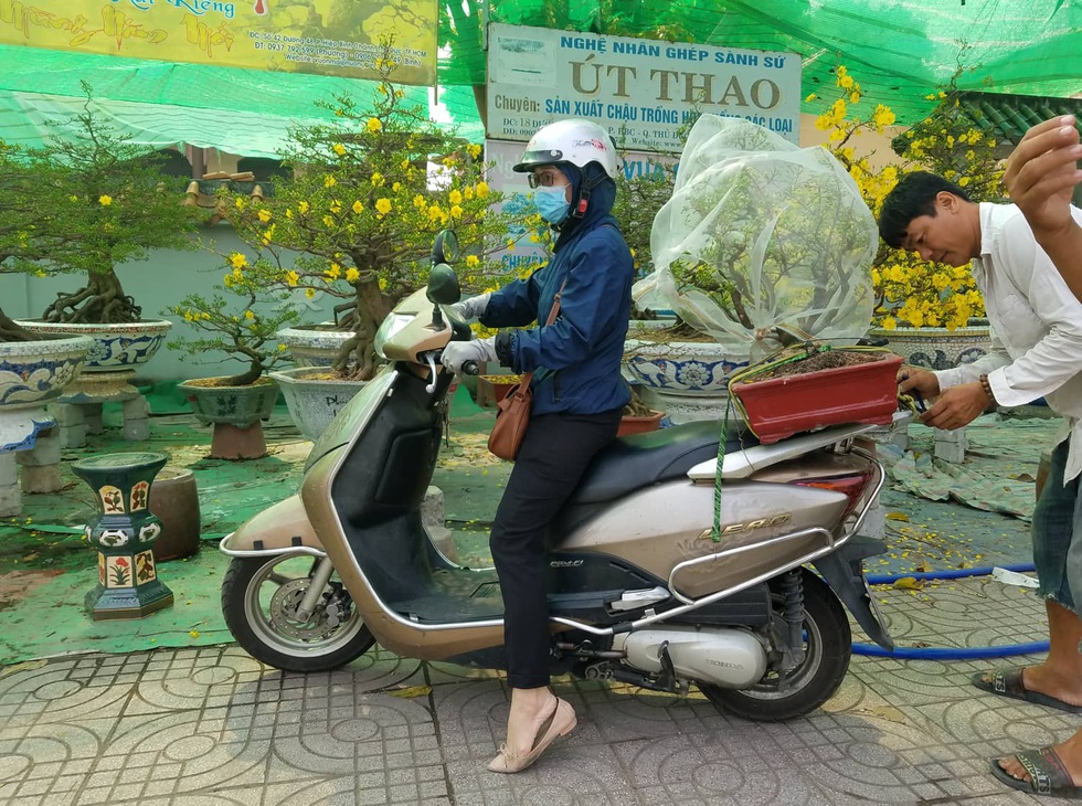 Mai tết Sài Gòn bay đi Hà Nội, Campuchia - Ảnh 3. Mai tết Sài Gòn bay đi Hà Nội, Campuchia - Ảnh 3.