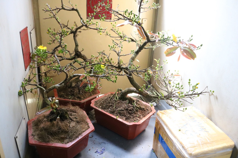 Chuyến tàu chở bao nỗi nhớ - Ảnh 4. Chuyến tàu chở bao nỗi nhớ - Ảnh 4.