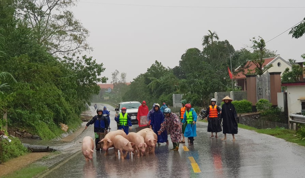 Nước lên nhanh có chỗ 3 mét, dân Quảng Bình tất tả chạy lũ - Ảnh 10. Nước lên nhanh có chỗ 3 mét, dân Quảng Bình tất tả chạy lũ - Ảnh 10.