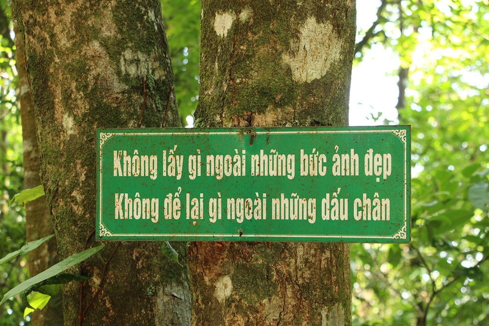 Trên đỉnh núi thiêng Bạch Mã - Kỳ cuối: Phải thận trọng khi chạm vào Bạch Mã! - Ảnh 3.