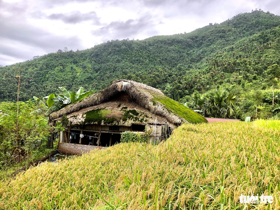 Hà Giang có những mái nhà đặc sắc - Ảnh 1. Hà Giang có những mái nhà đặc sắc - Ảnh 1.