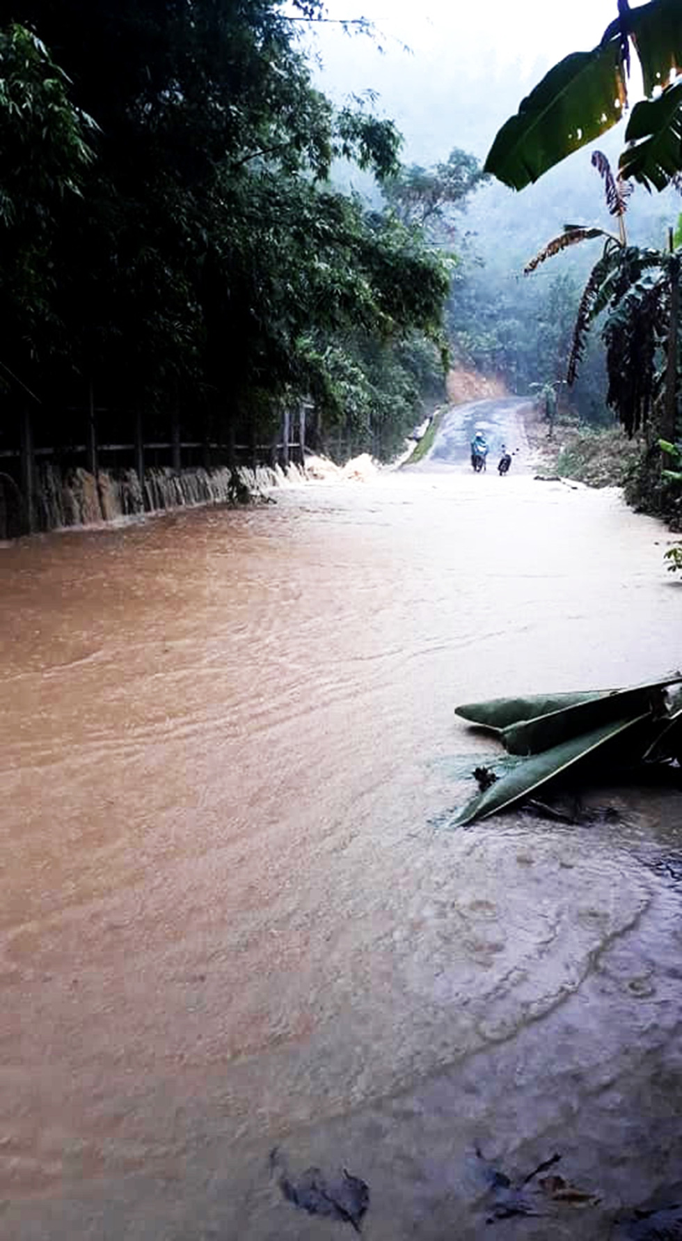 Mưa lớn, nước sông dâng quá nhanh, Quảng Nam lại ngập sâu - Ảnh 6.