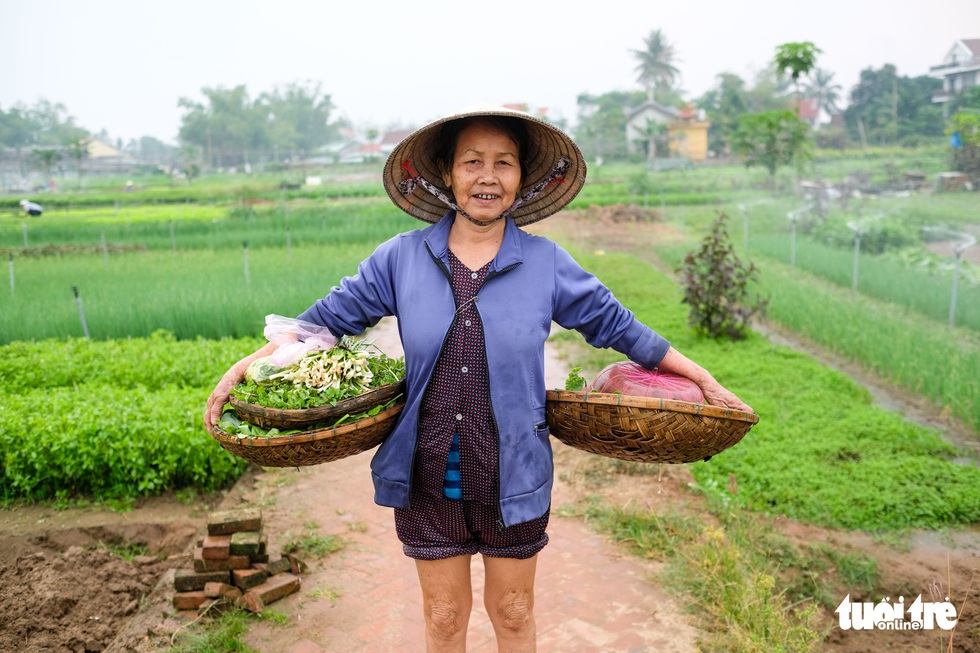 Trà Quế - Làng rau hoài niệm thành điểm đến quốc tế - Ảnh 5. Trà Quế - Làng rau hoài niệm thành điểm đến quốc tế - Ảnh 5.