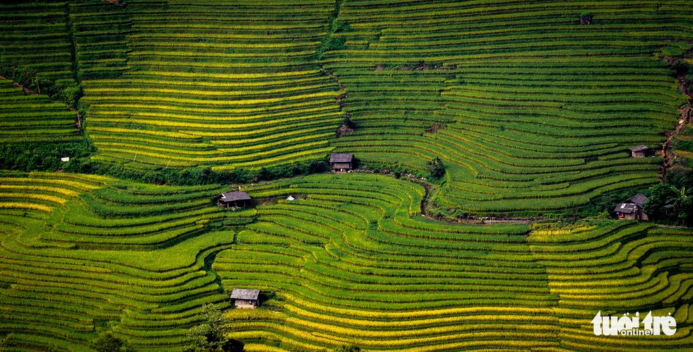Tây có bar còn to đẹp hơn, cớ gì phải tới tận Sa Pa thưởng thức món này? - Ảnh 3. Tây có bar còn to đẹp hơn, cớ gì phải tới tận Sa Pa thưởng thức món này? - Ảnh 3.