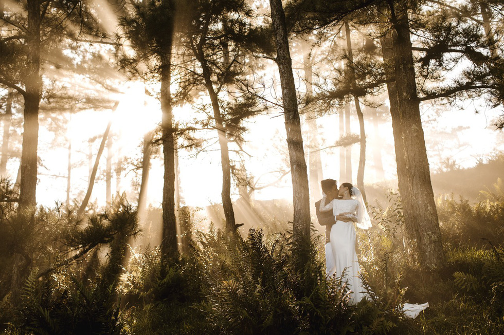 Vietnamese couple going to the forest into the sea, taking wedding photos in 11 provinces - Photo 4.