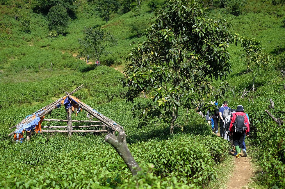2 ngày leo đỉnh núi Tà Chì Nhù ngắm hoàng hôn tím lịm - Ảnh 1. 2 ngày leo đỉnh núi Tà Chì Nhù ngắm hoàng hôn tím lịm - Ảnh 1.