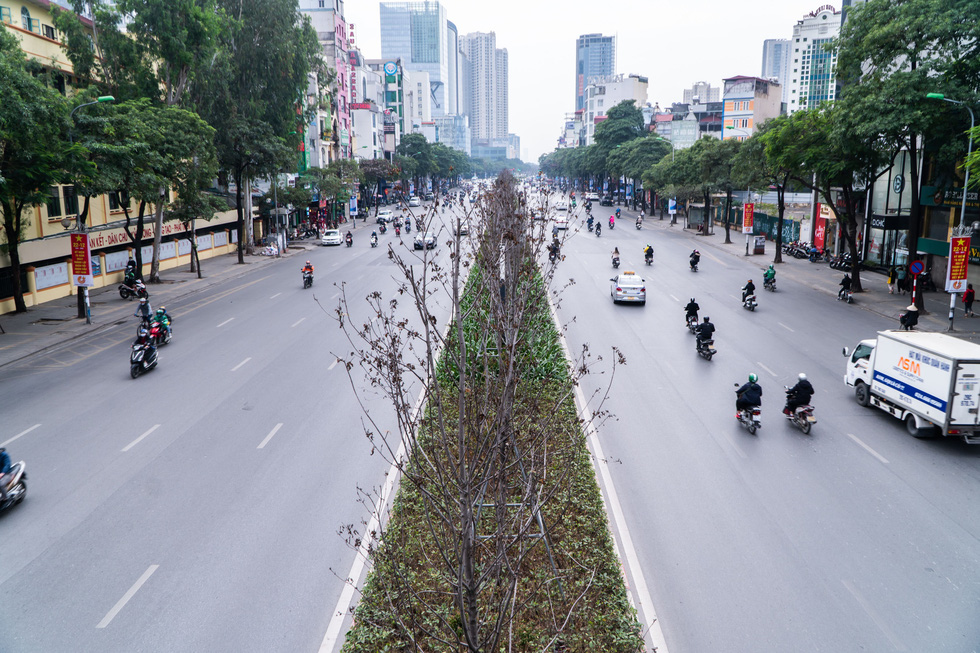 Hàng cây phong lá đỏ chết khô ở tuyến đường được kỳ vọng lãng mạn nhất Hà Nội - Ảnh 1.