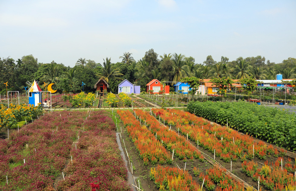 Enjoy the view of Dalat flower garden in full bloom on the Saigon River - Photo 9.