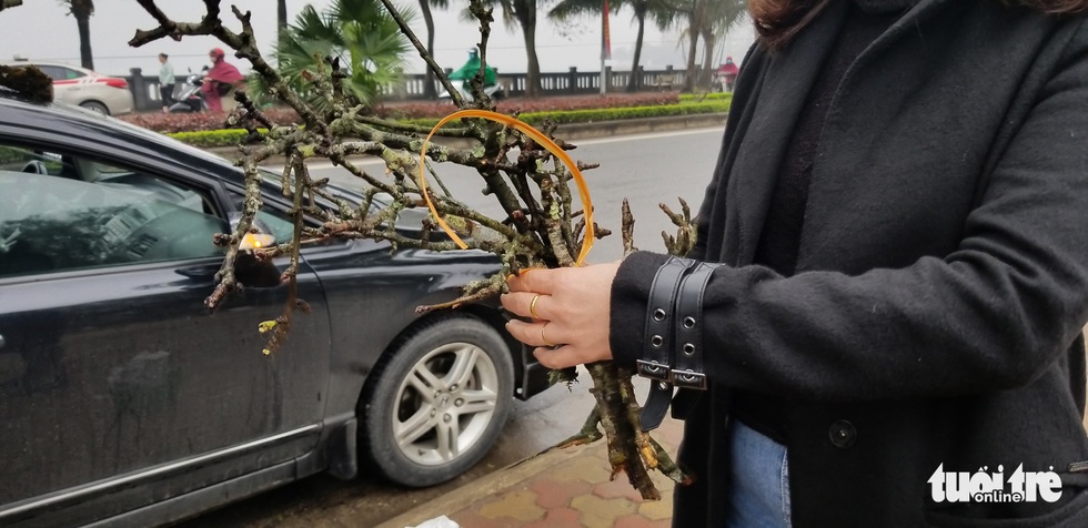 Cành lê trắng tinh khôi, giá tiền triệu hút khách thủ đô - Ảnh 9. Cành lê trắng tinh khôi, giá tiền triệu hút khách thủ đô - Ảnh 9.