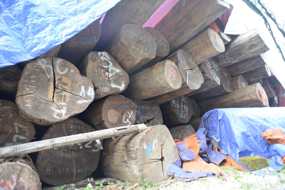 Vào xưởng mộc làm rường cột mới cho nhà thờ Bùi Chu - Ảnh 3. Vào xưởng mộc làm rường cột mới cho nhà thờ Bùi Chu - Ảnh 3.